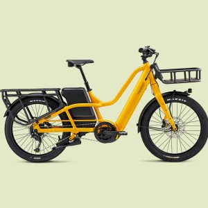Vélos cargo électriques